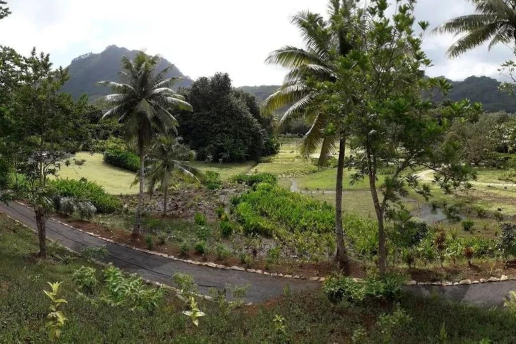 Duplex En Bord De Mer Fare Tahitea Pension Taputapuapea Exterior foto